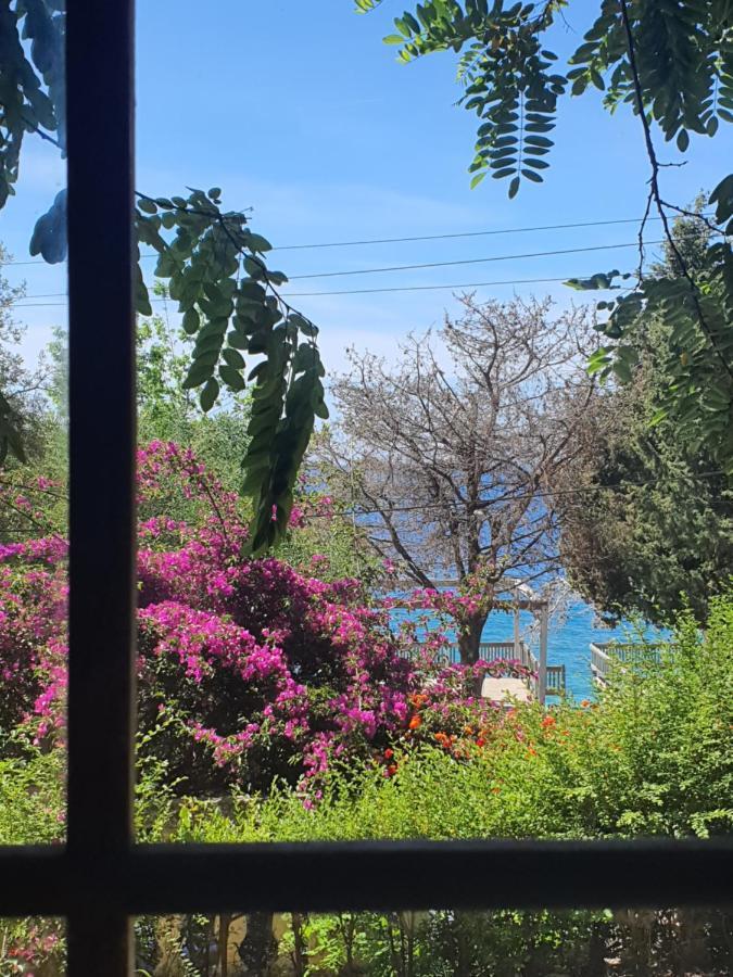 Toneda Seaside Dhermi