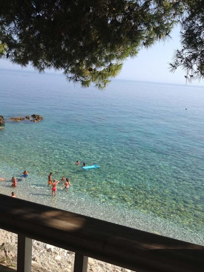 Lodge Toneda Seaside